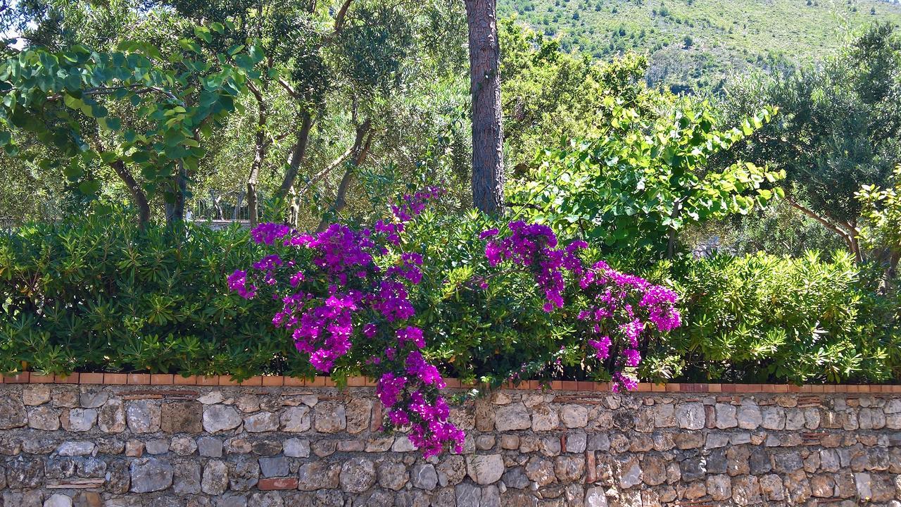 Hotel Cala Del Citro