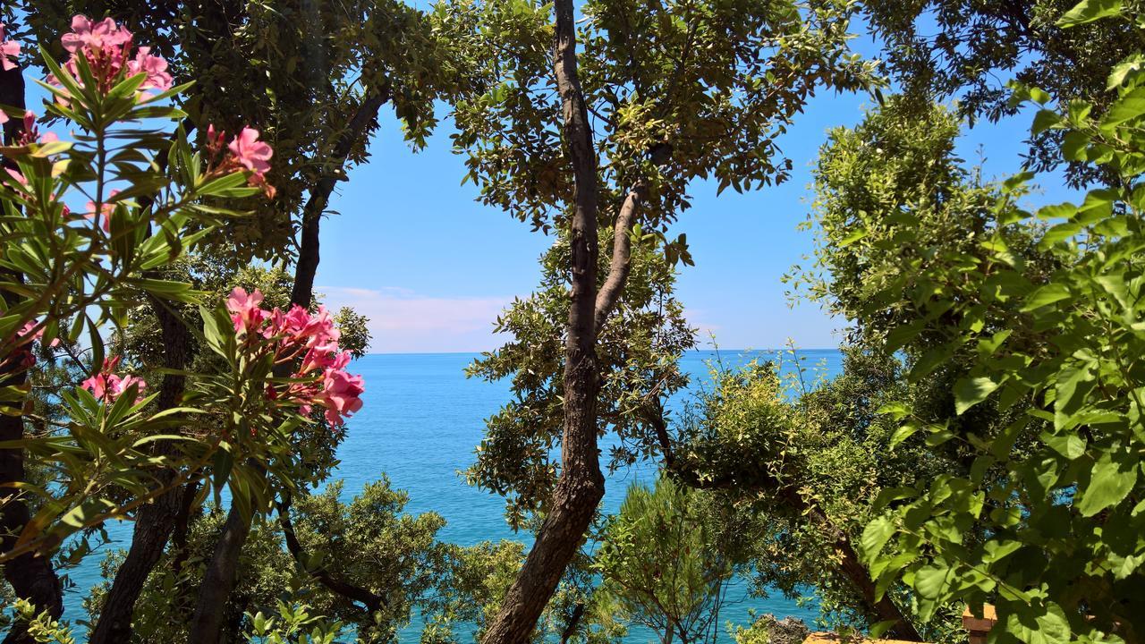 Cala Del Citro